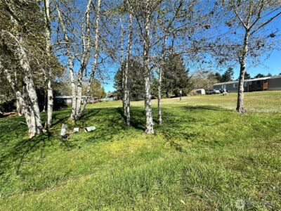 732 Edgewood Avenue NE, Ocean Shores, WA 98569 - Photo 3