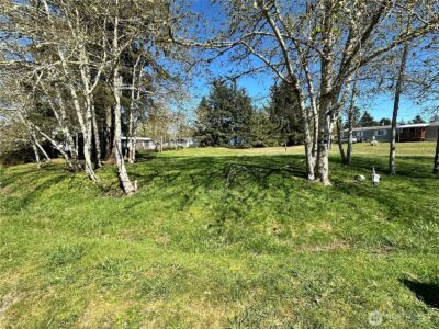 732 Edgewood Avenue NE, Ocean Shores, WA 98569 - Photo 5