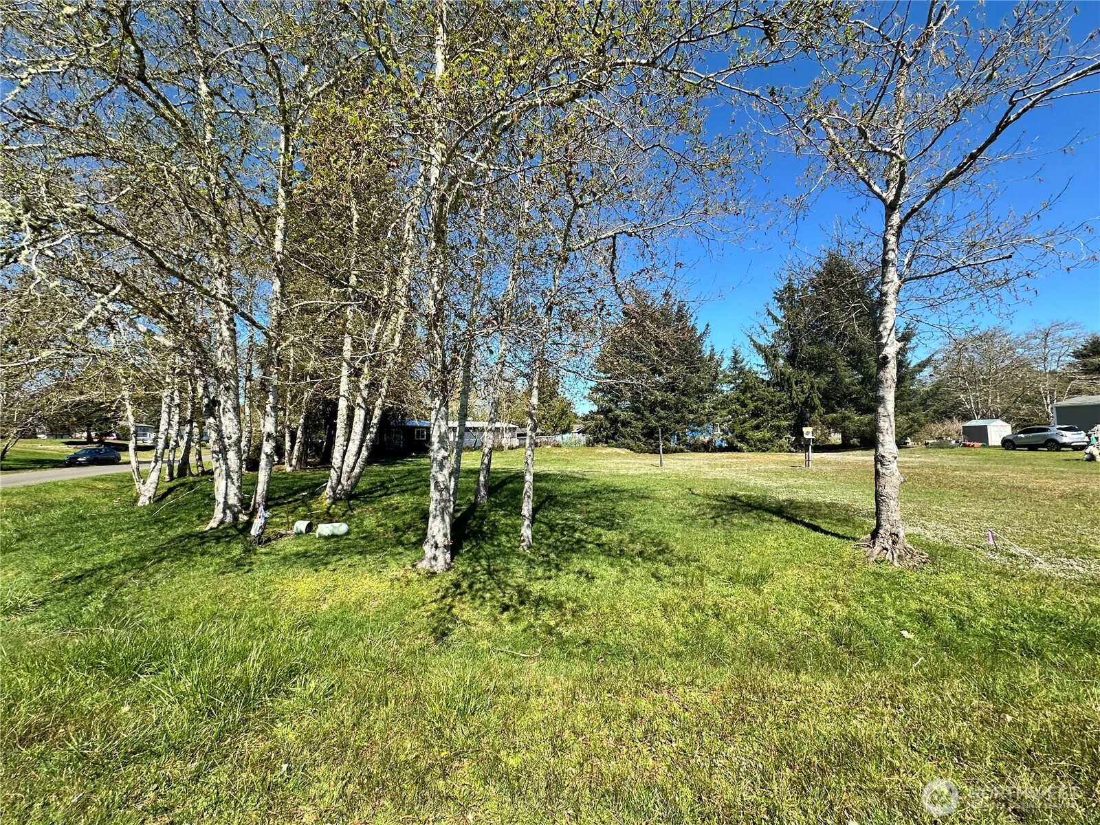 732 Edgewood Avenue NE, Ocean Shores, WA 98569