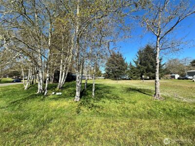 732 Edgewood Avenue NE, Ocean Shores, WA 98569 - Photo 6