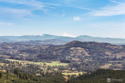 209 High Bank Lane , Woodland, WA 98674 - Photo 35