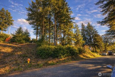 90 E Lakeview Drive , Shelton, WA 98584 - Photo 8