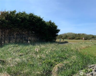 265 Marine View Drive SE, Ocean Shores, WA 98569 - Photo 11