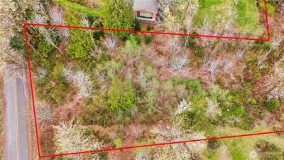 0 Mountain View Road W, Port Orchard, WA 98366 - Photo 3