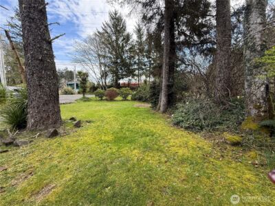381 Dolphin Avenue NE, Ocean Shores, WA 98569 - Photo 2