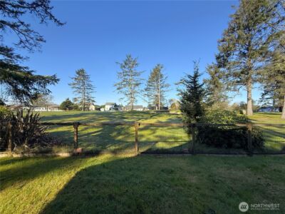 381 Dolphin Avenue NE, Ocean Shores, WA 98569 - Photo 31