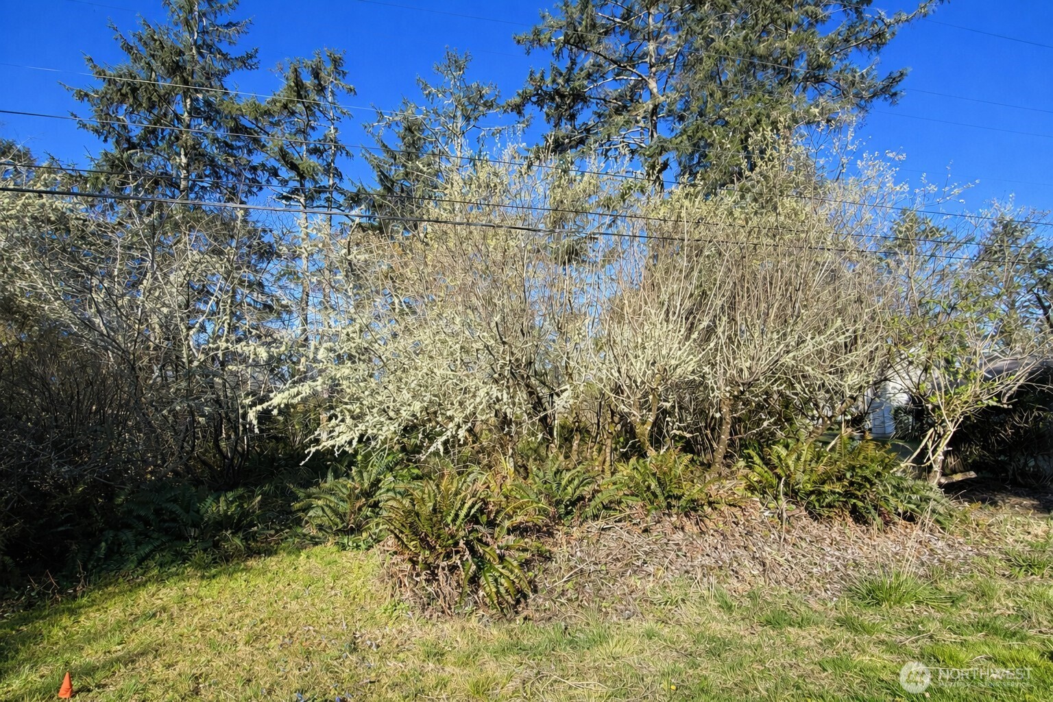 381 Dolphin Avenue NE, Ocean Shores, WA 98569