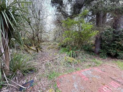 381 Dolphin Avenue NE, Ocean Shores, WA 98569 - Photo 33