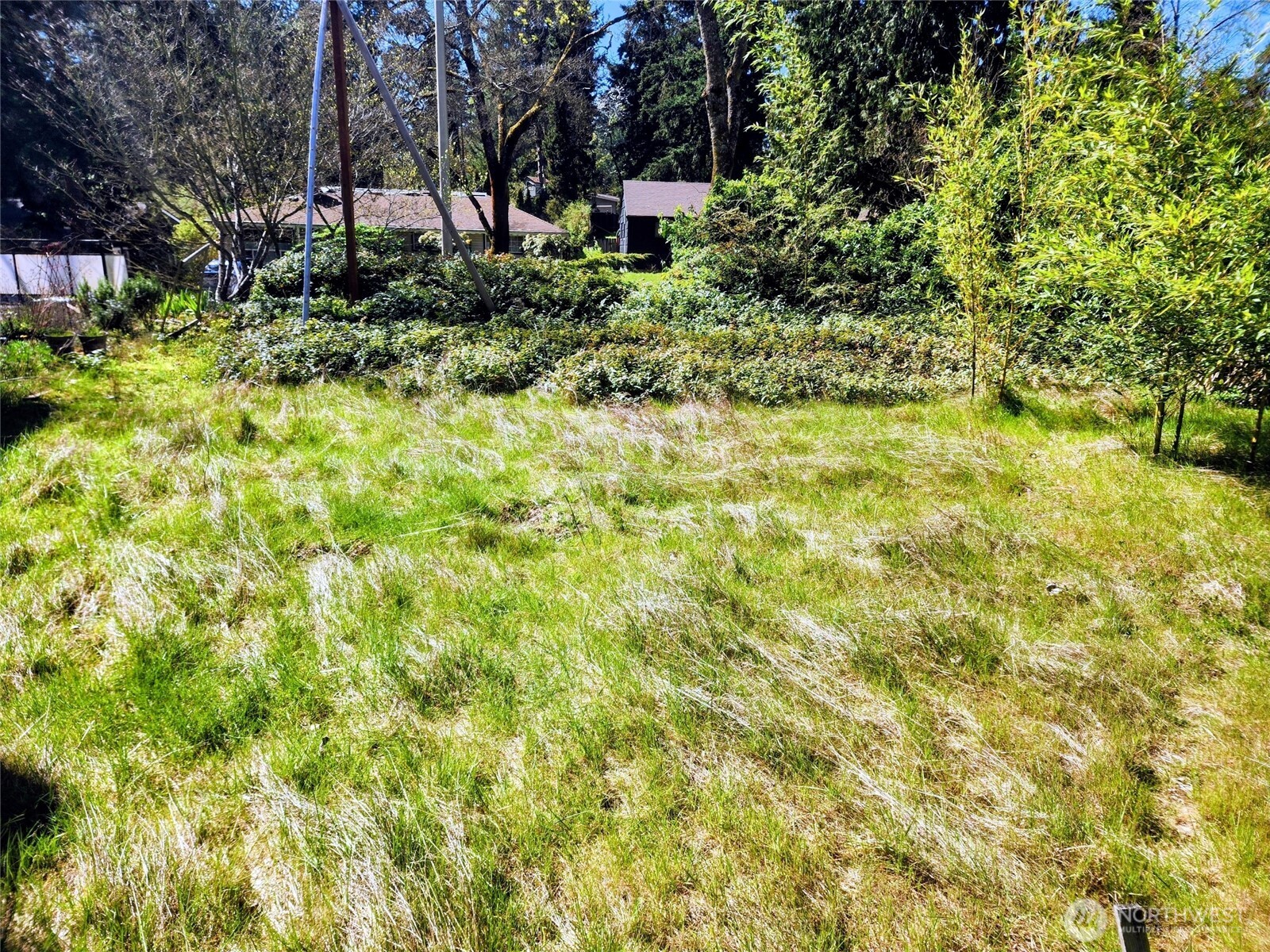 11744 35th Avenue NE, Seattle, WA 98125