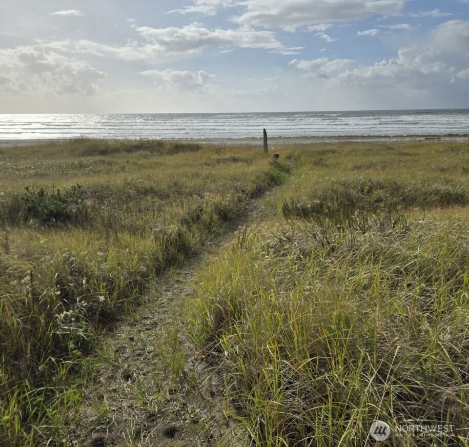 4721 State Route 105 S, Grayland, WA 98547