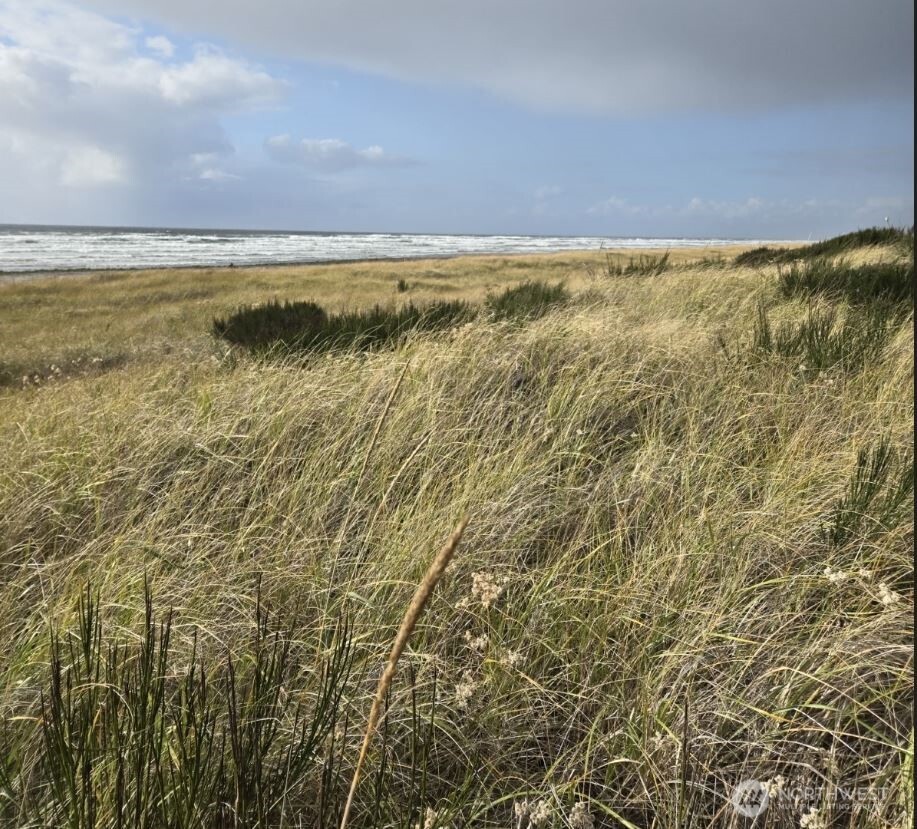 4721 State Route 105 S, Grayland, WA 98547