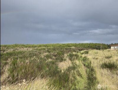 4721 State Route 105 S, Grayland, WA 98547 - Photo 5