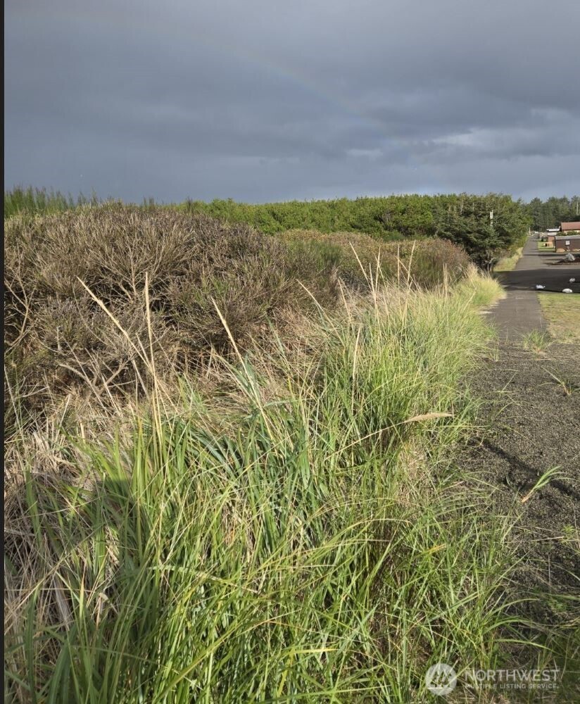 4721 State Route 105 S, Grayland, WA 98547