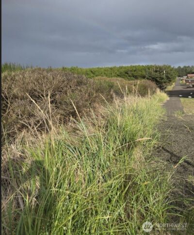 4721 State Route 105 S, Grayland, WA 98547 - Photo 6