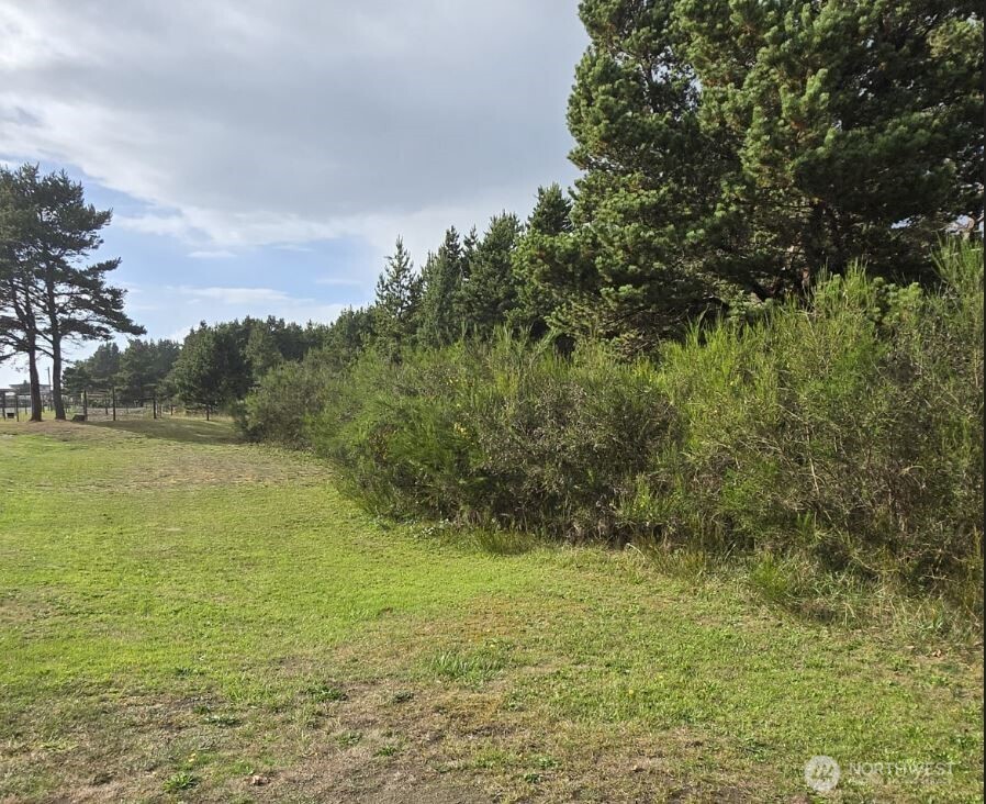 4721 State Route 105 S, Grayland, WA 98547