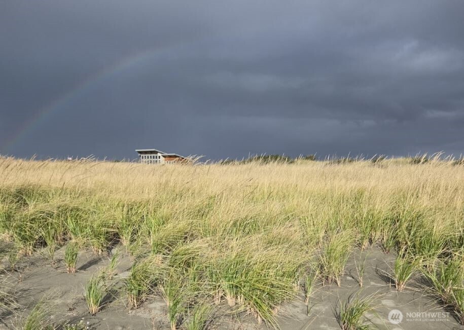 4717 State Route 105 S, Grayland, WA 98547