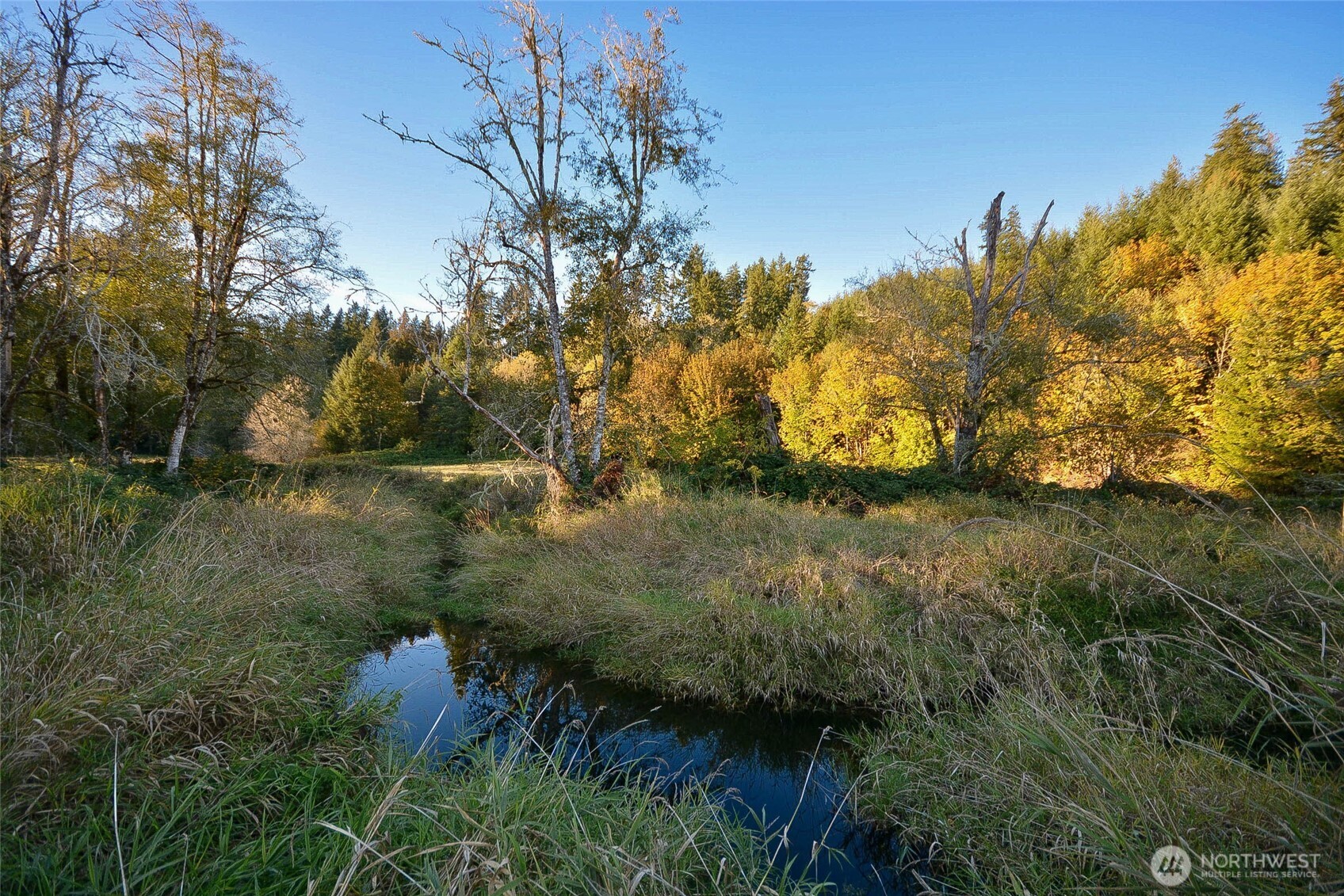 210 Brooklyn Road , Oakville, WA 98568-9715