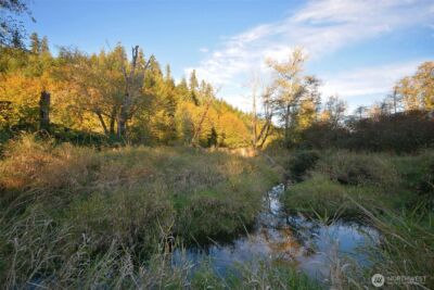 210 Brooklyn Road , Oakville, WA 98568-9715 - Photo 8