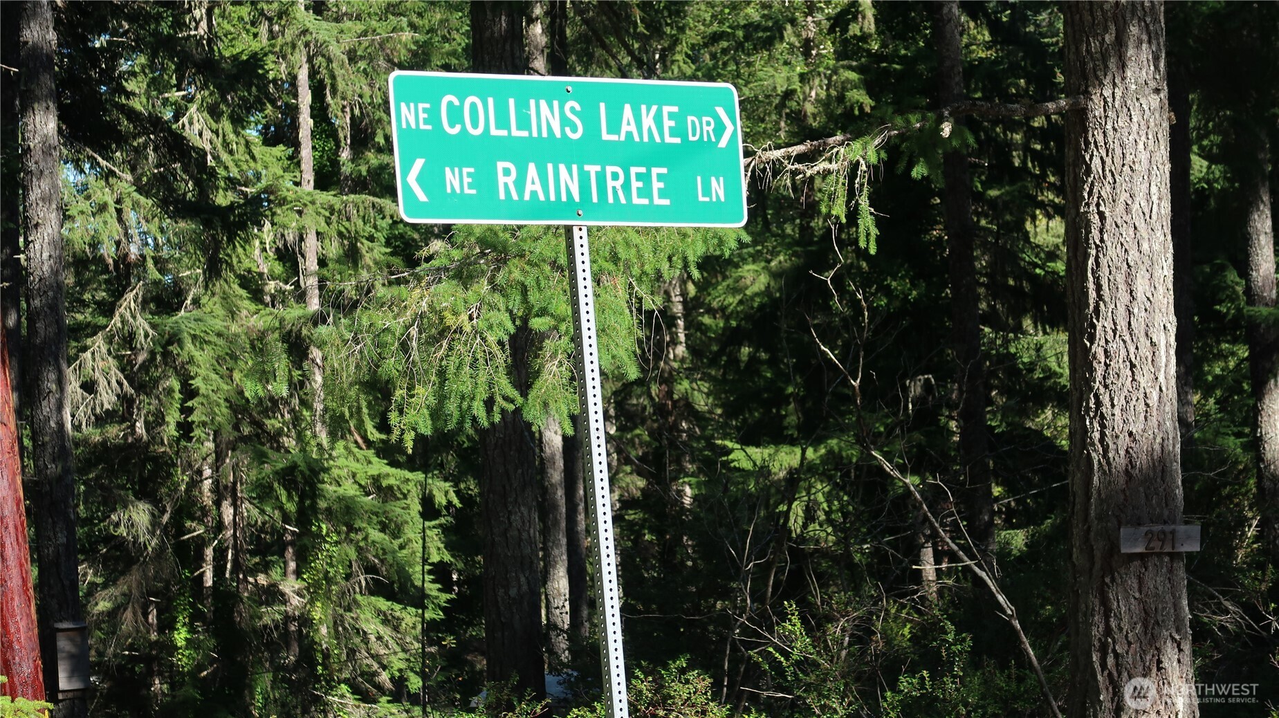 0 lot 10 NE Lakeview Pl , Tahuya, WA 98588