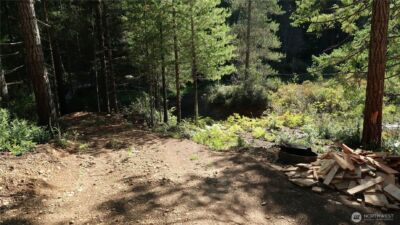 0 lot 10 NE Lakeview Pl , Tahuya, WA 98588 - Photo 18