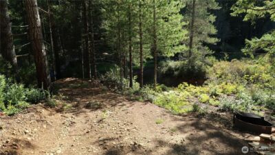 0 lot 10 NE Lakeview Pl , Tahuya, WA 98588 - Photo 19