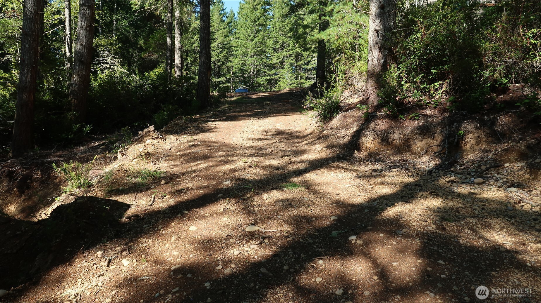 0 lot 10 NE Lakeview Pl , Tahuya, WA 98588