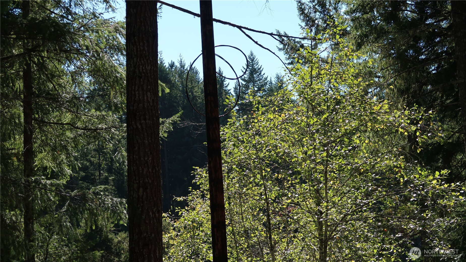 0 lot 10 NE Lakeview Pl , Tahuya, WA 98588