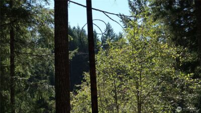0 lot 10 NE Lakeview Pl , Tahuya, WA 98588 - Photo 28
