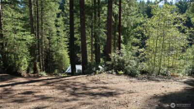 0 lot 10 NE Lakeview Pl , Tahuya, WA 98588 - Photo 29