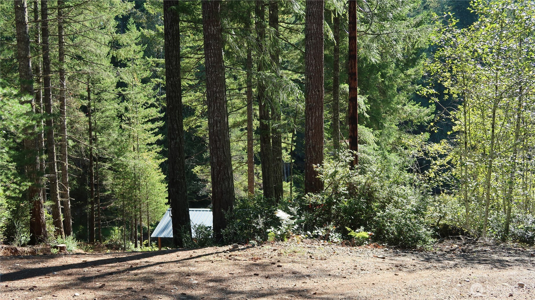 0 lot 10 NE Lakeview Pl , Tahuya, WA 98588