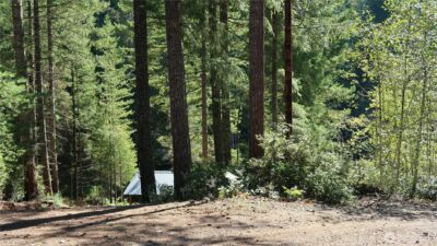 0 lot 10 NE Lakeview Pl , Tahuya, WA 98588 - Photo 30