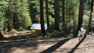 0 lot 10 NE Lakeview Pl , Tahuya, WA 98588 - Photo 5
