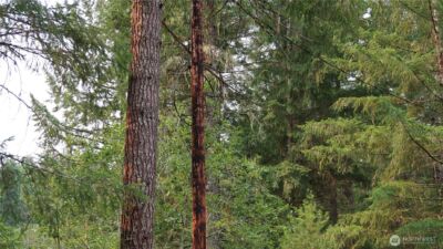 0 lot 10 NE Lakeview Pl , Tahuya, WA 98588 - Photo 6