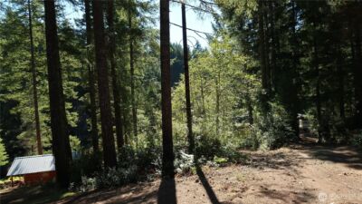 0 lot 10 NE Lakeview Pl , Tahuya, WA 98588 - Photo 7