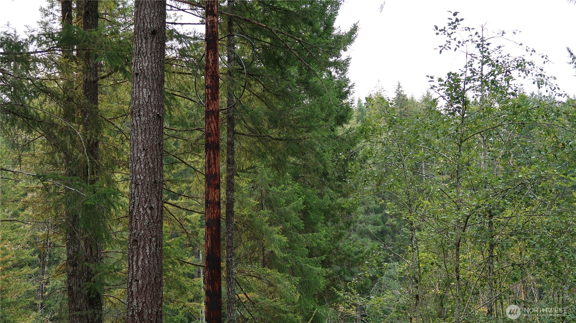 0 lot 10 NE Lakeview Pl , Tahuya, WA 98588