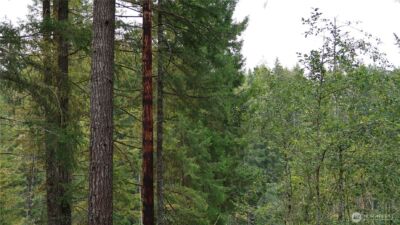0 lot 10 NE Lakeview Pl , Tahuya, WA 98588 - Photo 8