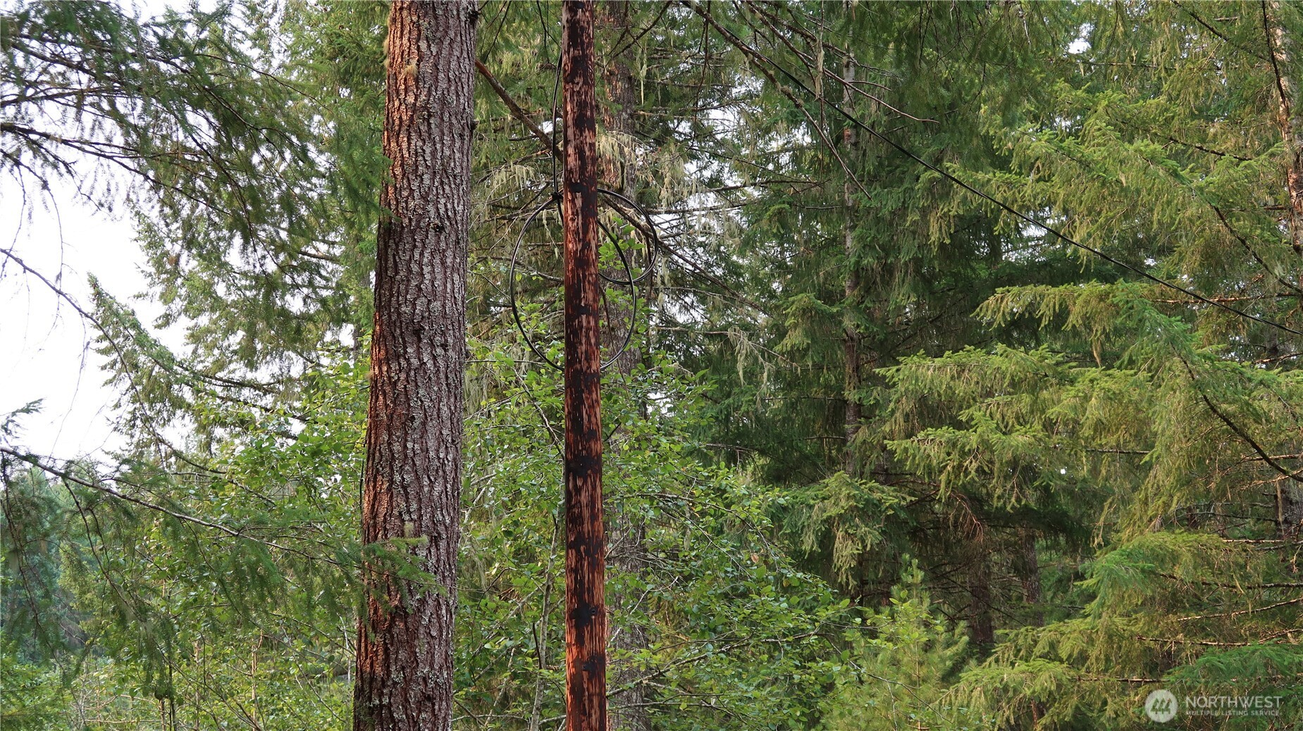 0 lot 10 NE Lakeview Pl , Tahuya, WA 98588