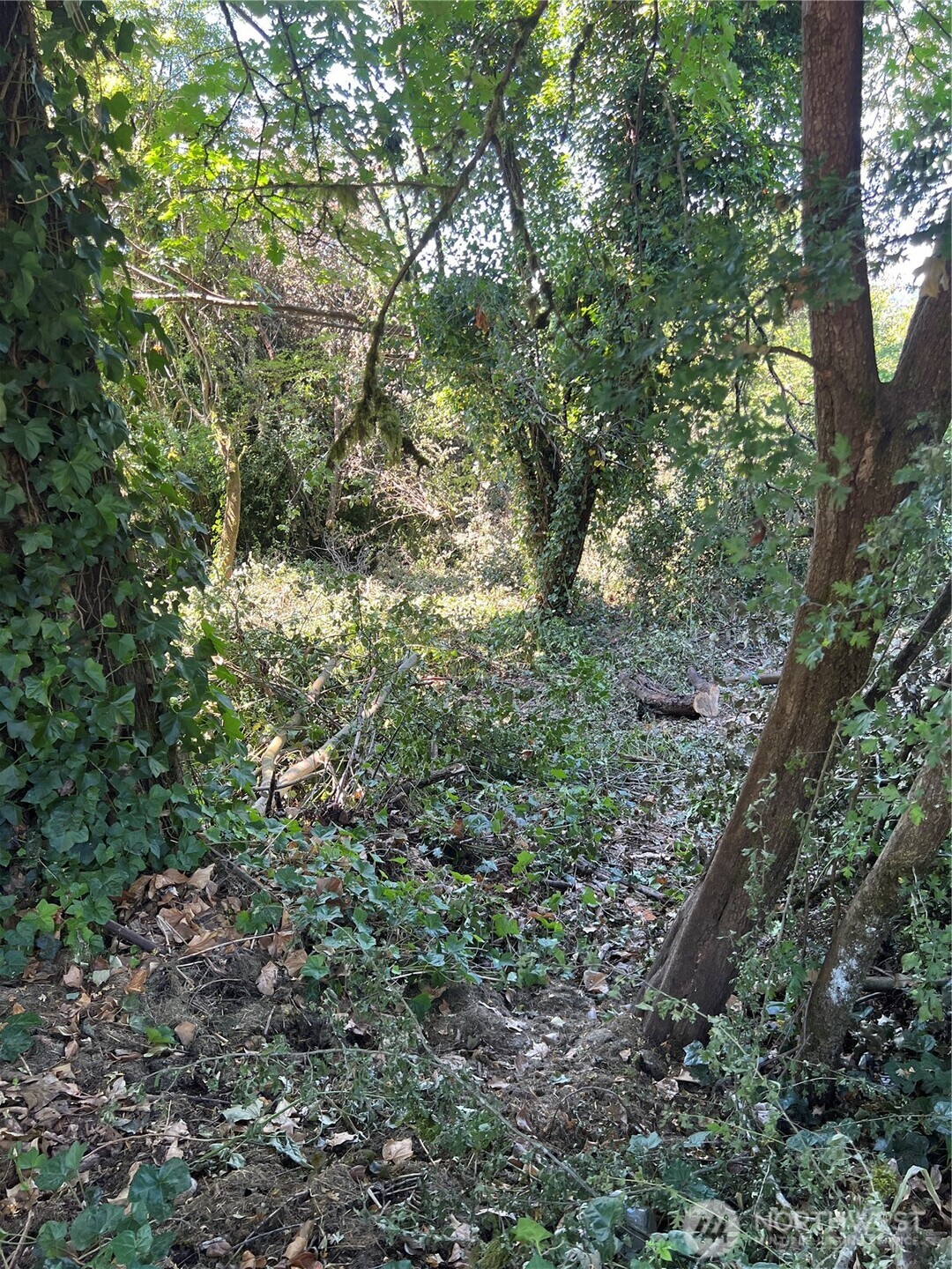 1111 Cherry and Broadway , Duvall, WA 98019