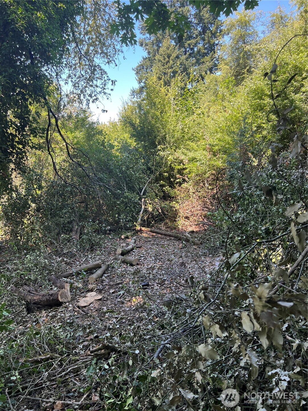 1111 Cherry and Broadway , Duvall, WA 98019