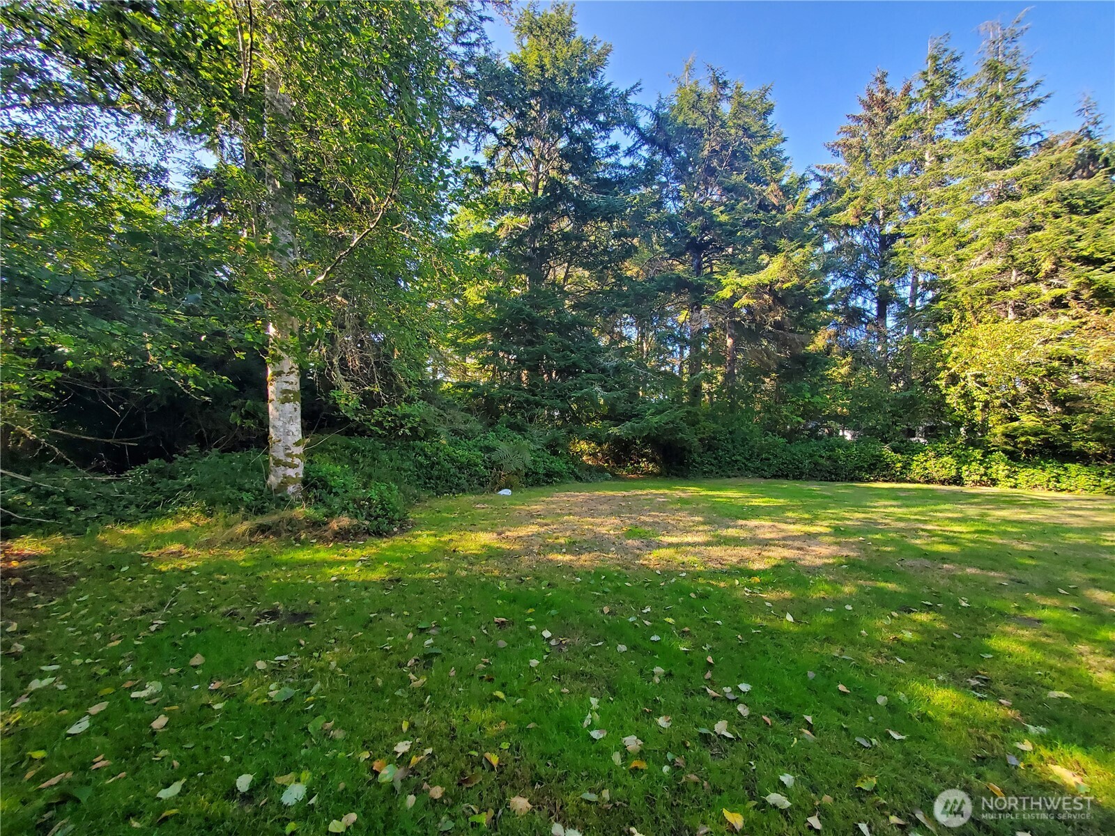 741 Chenois Avenue NE, Ocean Shores, WA 98569