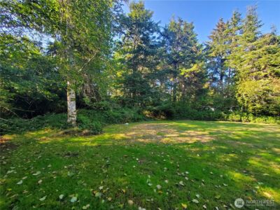 741 Chenois Avenue NE, Ocean Shores, WA 98569 - Photo 5