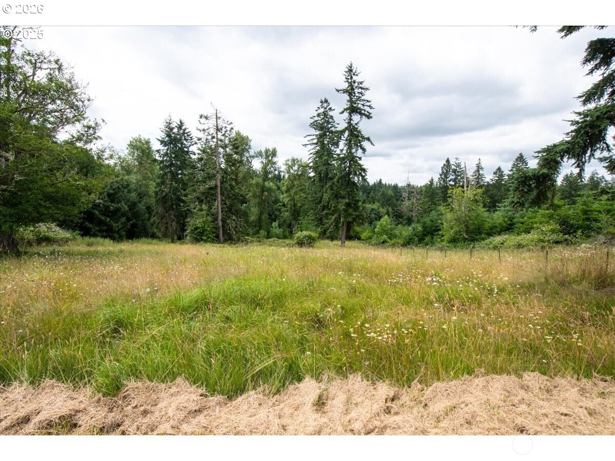 1415 Sightly Road , Toutle, WA 98649