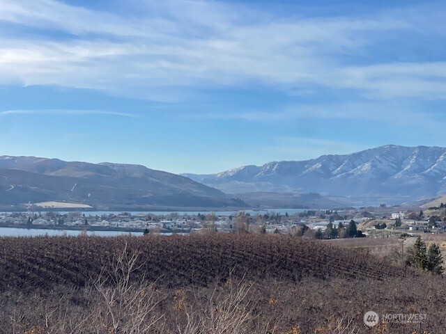 16 Columbia View Drive , Brewster, WA 98812