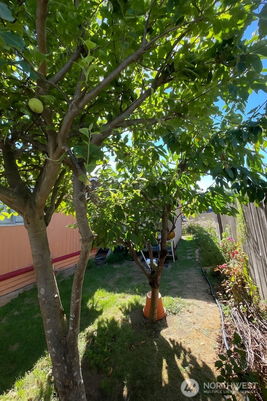 700 NW Crosby Avenue #84, Oak Harbor, WA 98277