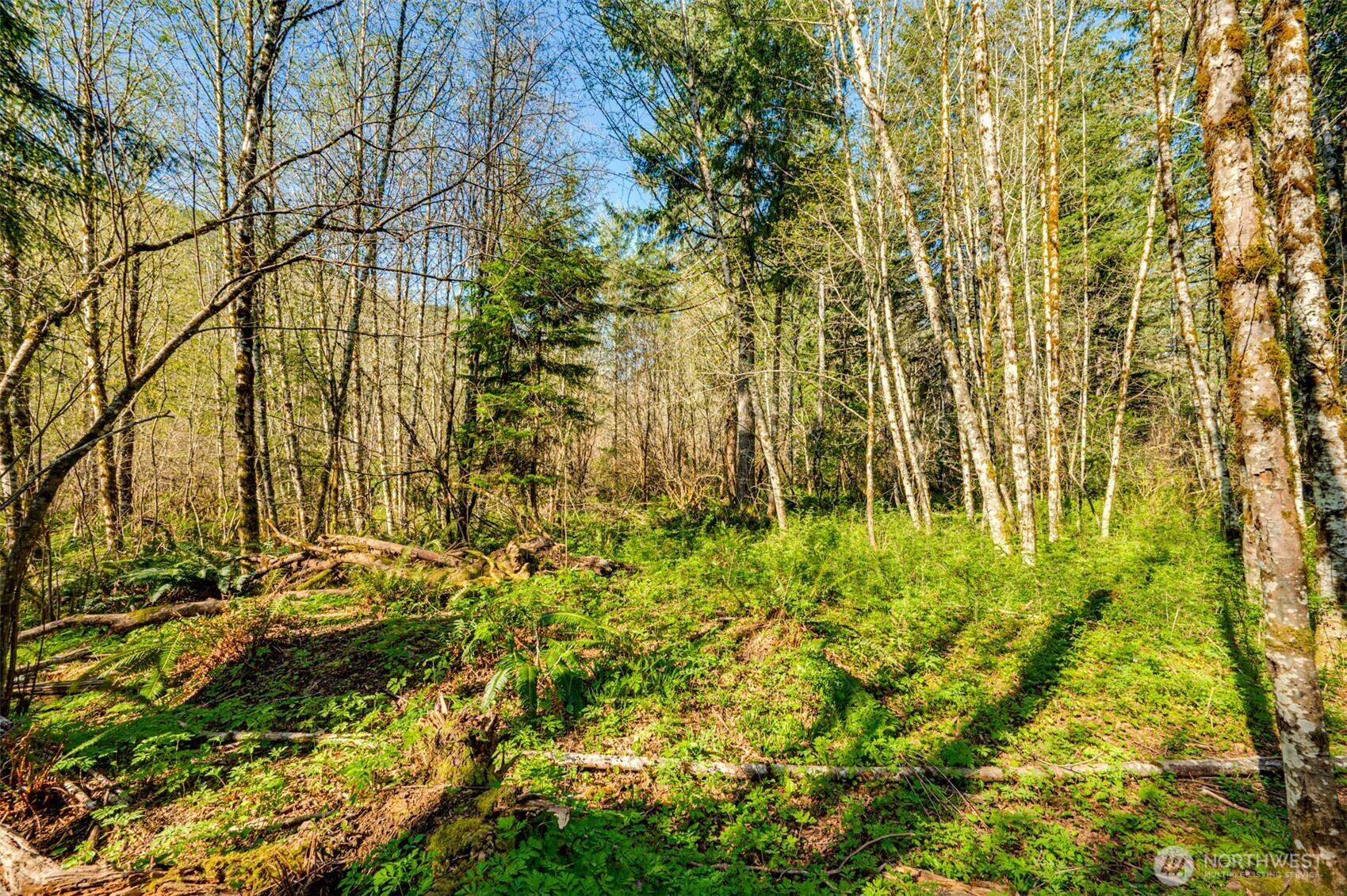 0 Buncombe Hollow Road NE, Woodland, WA 98674