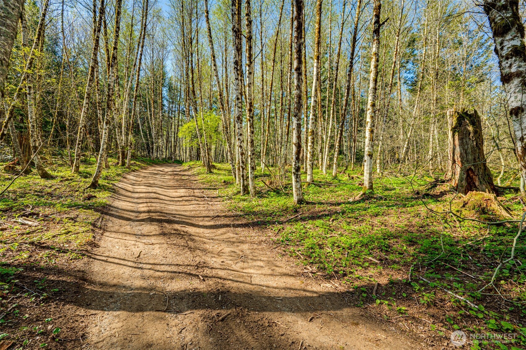 0 Buncombe Hollow Road NE, Woodland, WA 98674