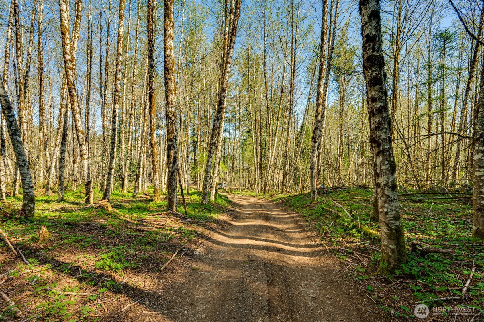 0 Buncombe Hollow Road NE, Woodland, WA 98674