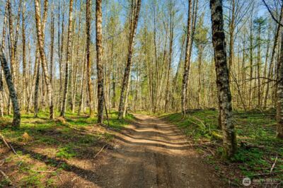 0 Buncombe Hollow Road NE, Woodland, WA 98674 - Photo 12