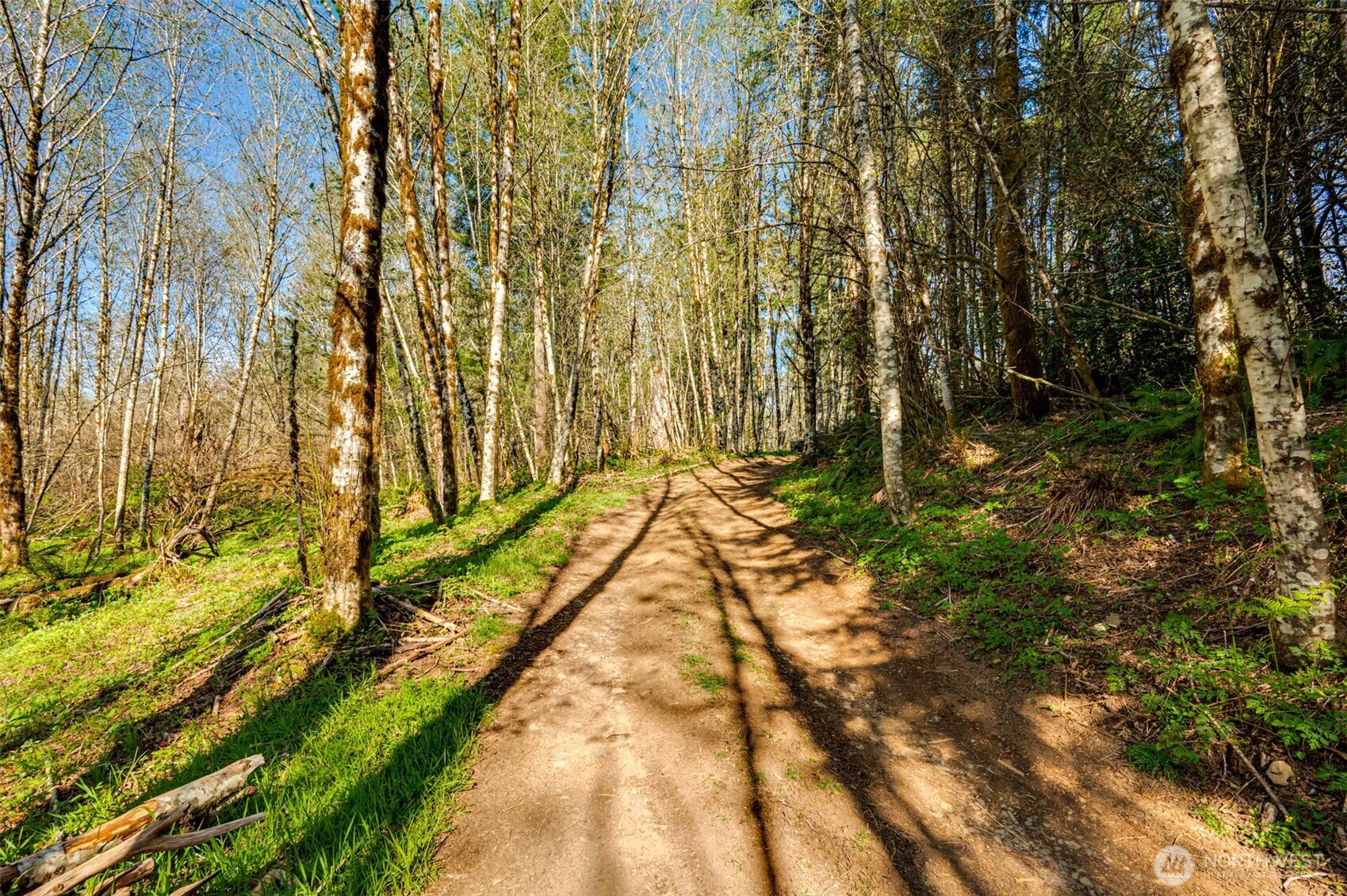 0 Buncombe Hollow Road NE, Woodland, WA 98674