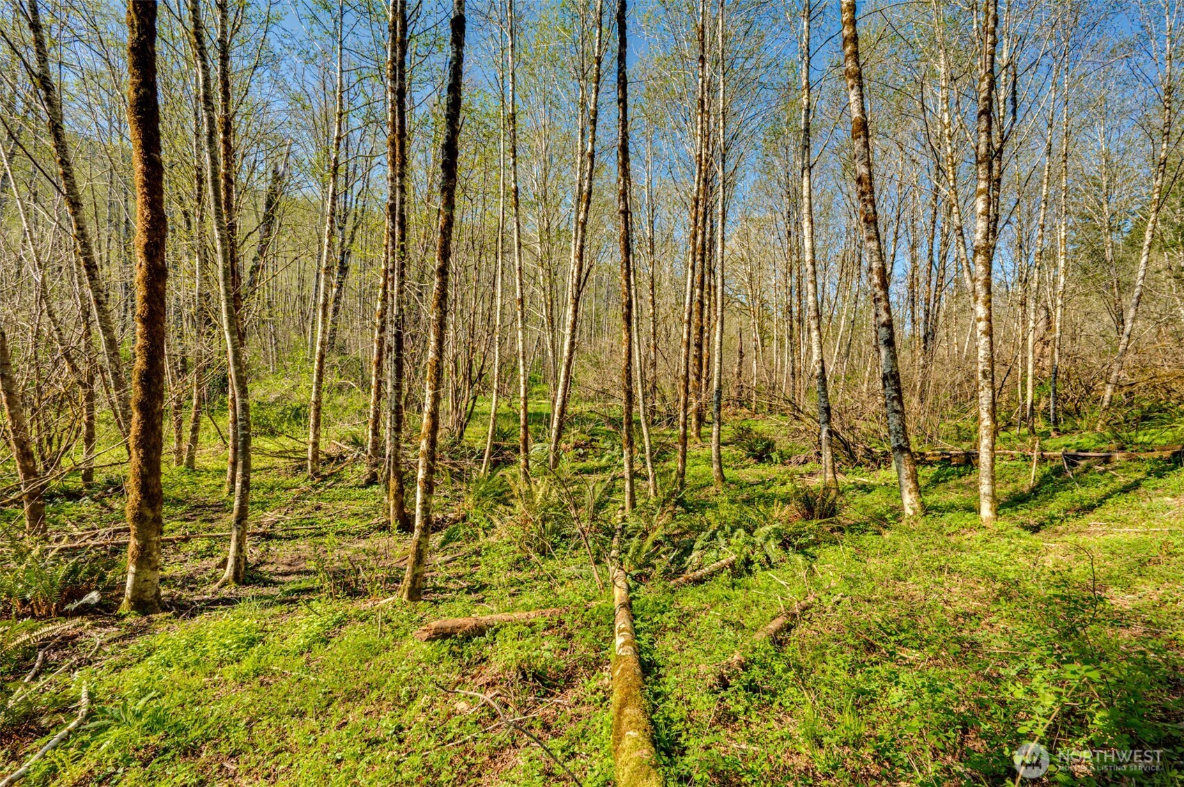 0 Buncombe Hollow Road NE, Woodland, WA 98674